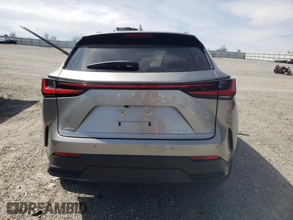 2023 Lexus NX with VIN 2T2GGCEZ3PC017857, listed as a Copart auction lot 49789005 with 16,649 mi miles and Salvage Title. Bid and sale history available at carsss.com. Image 6.