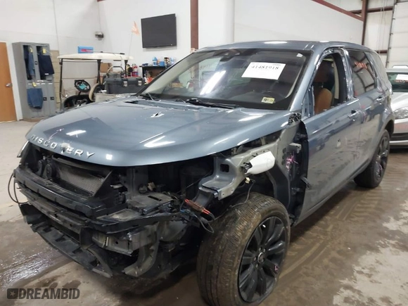2019 Land Rover Discovery Sport HSE Luxury with VIN SALCT2FX9KH827366, listed as a IAAI auction lot 41481918 with 61,815 mi miles. Bid and sale history available at carsss.com. Image 6.