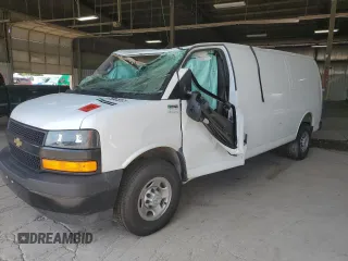2023 Chevrolet Express Cargo with VIN 1GCWGBFP1P1249384, listed as a Copart auction lot 64176105 with Not provided miles and Salvage title. Bid and sale history available at DreamBid. Image 1.