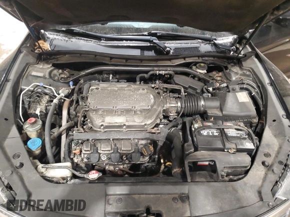 2011 Honda Accord Crosstour EX-L with VIN 5J6TF2H53BL006670, listed as a Copart auction lot 83219344 with 192,412 mi miles and Salvage Title. Bid and sale history available at carsss.com. Image 11.