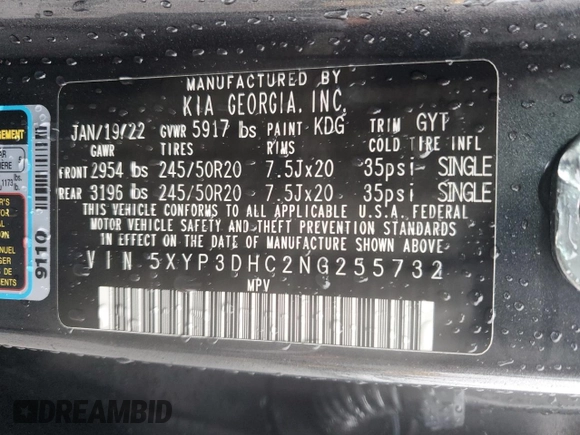2022 Kia Telluride EX with VIN 5XYP3DHC2NG255732, listed as a Copart auction lot 52604795 with 32,117 mi miles and Salvage title. Bid and sale history available at DreamBid. Image 15.