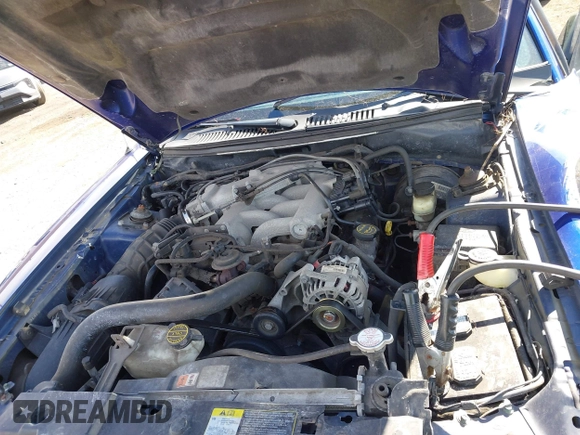 2004 Ford Mustang Standard with VIN 1FAFP40694F149517, listed as a IAAI auction lot 41900595 with 90,806 mi miles. Bid and sale history available at carsss.com. Image 10.