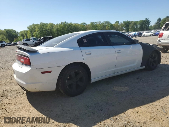 2014 Dodge Charger SE with VIN 2C3CDXBG5EH129699, listed as a Copart auction lot 53152845 with 173,216 mi miles and Salvage Title. Bid and sale history available at DreamBid. Image 3.