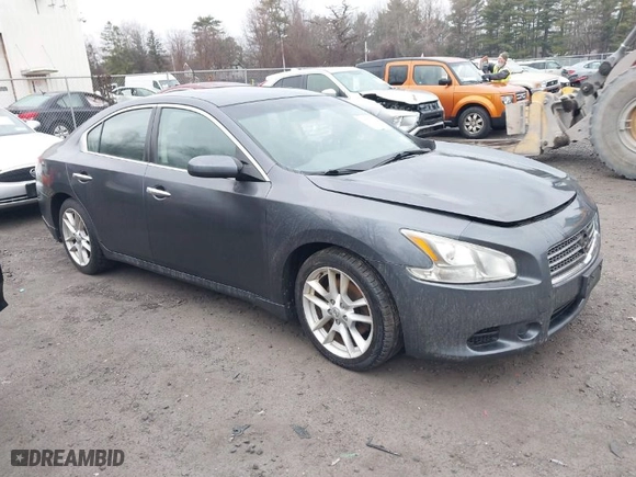 2009 Nissan Maxima 3.5 SV w/Sport Pkg with VIN 1N4AA51E19C818847, listed as a IAAI auction lot 41866300 with 172,446 mi miles. Bid and sale history available at carsss.com. Image 1.