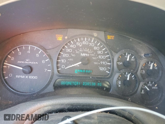 2003 Oldsmobile Bravada z VIN 1GHDT13S732245893, wystawiony jako Copart lot #76522314 z przebiegiem 238 130 mil mil oraz Tytuł czysty. Historia ofert i sprzedaży dostępna na DreamBid. Obrazek 9.