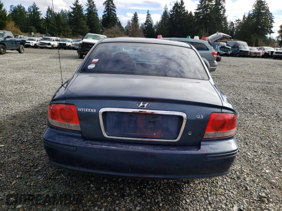2002 Hyundai Sonata with VIN KMHWF25S12A520554, listed as a Copart auction lot 43483194 with 131,409 mi miles and Salvage Title. Bid and sale history available at carsss.com. Image 6.