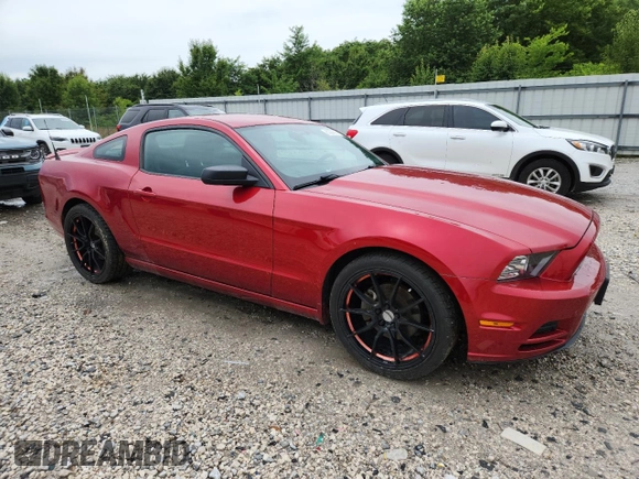 2013 Ford Mustang V6 с VIN 1ZVBP8AM2D5267439, выставлен на аукционе Copart как лот 61307575 с пробегом 109 401 миль миль и Списание • Salvage title. История ставок и продаж доступна на DreamBid. Изображение 4.