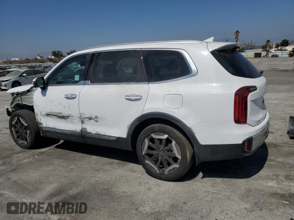 2024 Kia Telluride S with VIN 5XYP64GC6RG494537, listed as a Copart auction lot 68663974 with 1,771 mi miles and Salvage title. Bid and sale history available at DreamBid. Image 2.