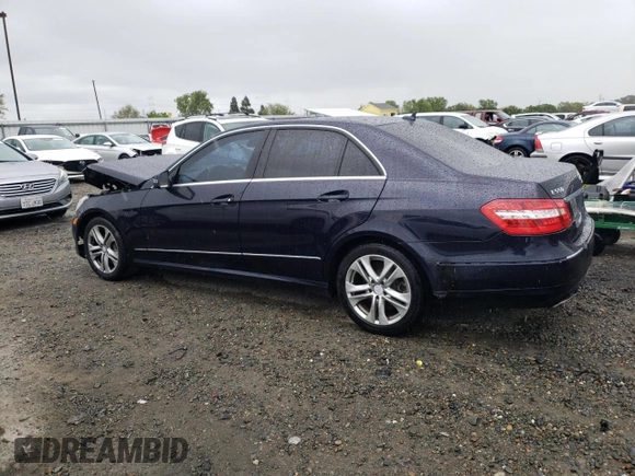 2010 Mercedes-Benz E 550 Luxury with VIN WDDHF7CB1AA248797, listed as a Copart auction lot 50844995 with 196,371 mi miles and Salvage Title. Bid and sale history available at DreamBid. Image 2.