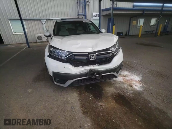 2022 Honda CR-V EX-L with VIN 2HKRW1H87NH406602, listed as a Copart auction lot 52801425 with 13,159 mi miles and Salvage Title. Bid and sale history available at carsss.com. Image 10.