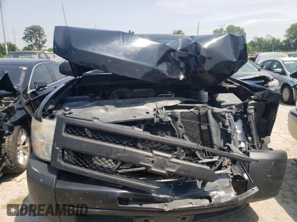 2011 Chevrolet Silverado 1500 Work Truck with VIN 1GCRCPEX9BZ276544, listed as a Copart auction lot 54325623 with 287,261 mi miles and Salvage Title. Bid and sale history available at DreamBid. Image 5.