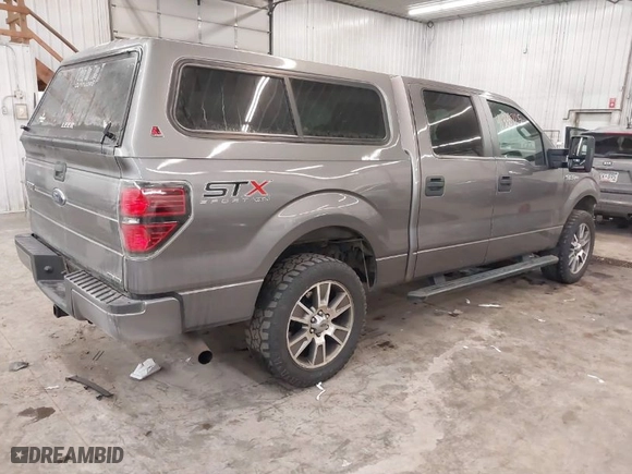2014 Ford F-150 XL with VIN 1FTFW1EF1EKE83876, listed as a IAAI auction lot 41388725 with 248,807 mi miles. Bid and sale history available at carsss.com. Image 4.