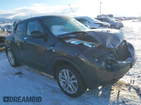 2013 Nissan Juke SV with VIN JN8AF5MV0DT220494, listed as a IAAI auction lot 41401846 with 134,693 mi miles. Bid and sale history available at carsss.com. Image 1.