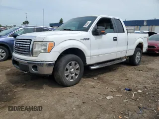 2010 Ford F-150 XL с VIN 1FTFX1EV6AFA51162, выставлен на аукционе Copart как лот 58796095 с пробегом 272 808 миль миль и Чистый • Clean title. История ставок и продаж доступна на DreamBid. Изображение 1.