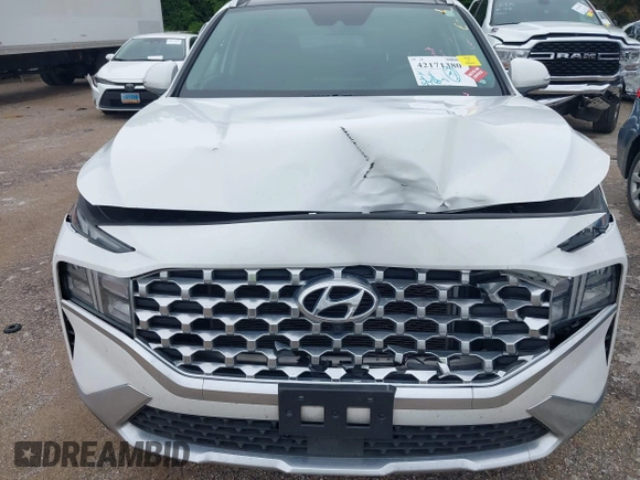 2023 Hyundai Santa Fe SEL with VIN 5NMS34AJ9PH527799, listed as a IAAI auction lot 42171380 with 53,707 mi miles and . Bid and sale history available at DreamBid. Image 6.