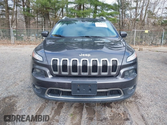 2016 Jeep Cherokee Limited with VIN 1C4PJMDB8GW309110, listed as a IAAI auction lot 41990343 with 163,054 mi miles. Bid and sale history available at carsss.com. Image 13.