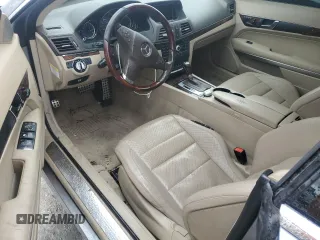 2010 Mercedes-Benz E-Class E 550 with VIN WDDKJ7CB5AF046696, listed as a Copart auction lot 49076015 with 0 mi miles and Salvage Title. Bid and sale history available at carsss.com. Image 8.