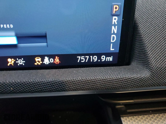 2021 Ford Mustang Mach-E California Route 1 with VIN 3FMTK2R76MMA01865, listed as a Copart auction lot 87242064 with 75,719 mi miles and Salvage Title. Bid and sale history available at DreamBid. Image 9.