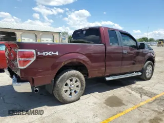 2010 Ford F-150 XL with VIN 1FTFX1EV2AKE13883, listed as a Copart auction lot 57222805 with 125,388 mi miles and Salvage title. Bid and sale history available at DreamBid. Image 3.