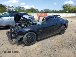 2010 Ford Mustang GT with VIN 1ZVBP8CH3A5179849, listed as a Copart auction lot 51677155 with Not provided miles and Salvage title. Bid and sale history available at DreamBid. Image 1.