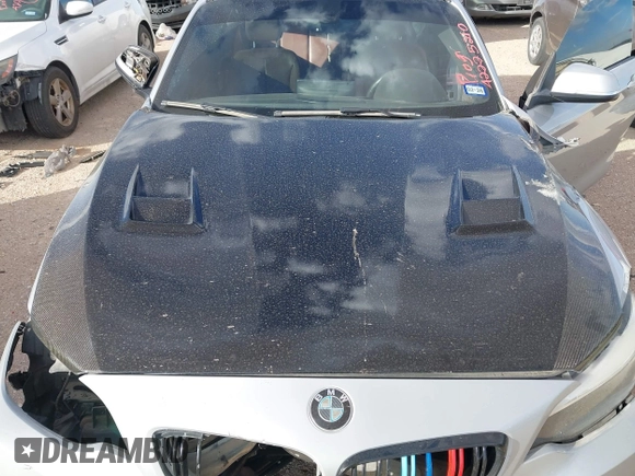 2016 BMW 2 Series 228i z VIN WBA1F9C50GV742083, wystawiony jako IAAI lot #42225210 z przebiegiem 92 716 mil mil oraz . Historia ofert i sprzedaży dostępna na DreamBid. Obrazek 10.