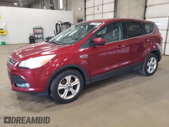 2016 Ford Escape SE with VIN 1FMCU0GX1GUA70710, listed as a Copart auction lot 52299925 with 205,760 mi miles and Salvage Title. Bid and sale history available at carsss.com. Image 1.
