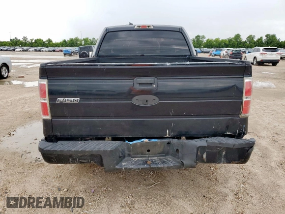 2009 Ford F-150 XL with VIN 1FTRF12W89KB74882, listed as a Copart auction lot 60924495 with 401,265 mi miles and Salvage title. Bid and sale history available at DreamBid. Image 6.