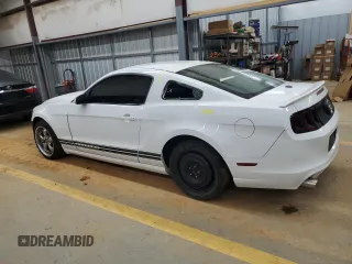 2014 Ford Mustang V6 with VIN 1ZVBP8AM0E5232495, listed as a Copart auction lot 41481245 with 118,917 mi miles and Salvage Title. Bid and sale history available at DreamBid. Image 2.