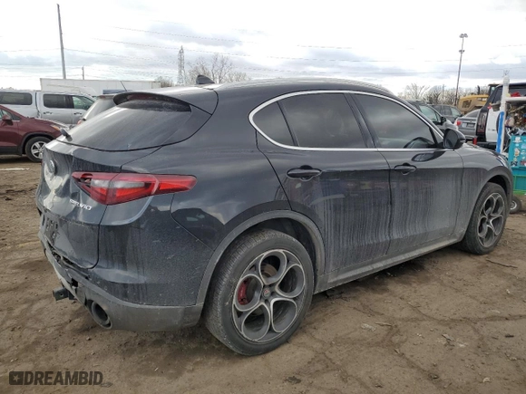 2019 Alfa Romeo Stelvio Ti with VIN ZASPAKBN4K7C42498, listed as a Copart auction lot 43219645 with NaN miles and Clean Title. Bid and sale history available at carsss.com. Image 3.