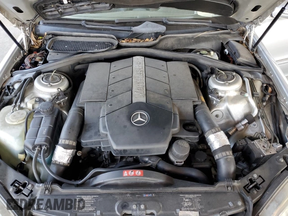 2005 Mercedes-Benz S-Class 4.3L with VIN WDBNG70J25A441339, listed as a Copart auction lot 49028915 with 0 mi miles and Salvage Title. Bid and sale history available at carsss.com. Image 11.