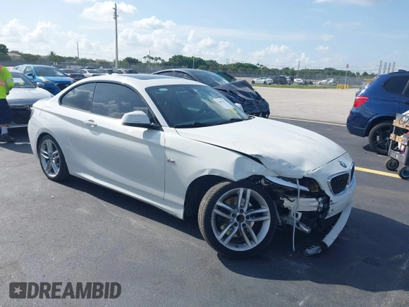 2014 BMW 2 Series 228i with VIN WBA1F5C54EV246340, listed as a IAAI auction lot 42457432 with 191,418 mi miles and . Bid and sale history available at DreamBid. Image 1.