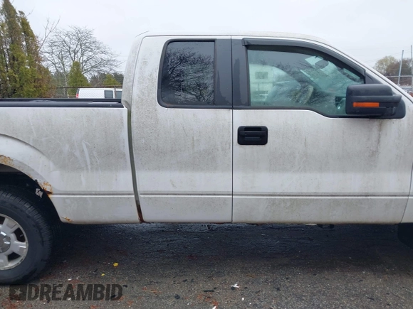 2010 Ford F-150 XL with VIN 1FTEX1E85AKC18141, listed as a IAAI auction lot 41948061 with 188,422 mi miles. Bid and sale history available at carsss.com. Image 13.