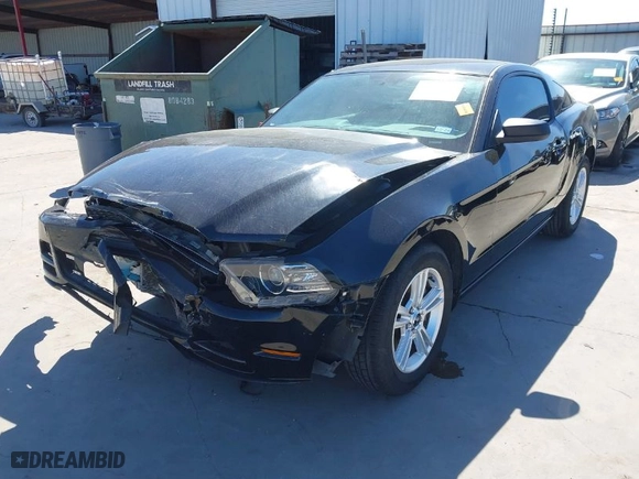 2013 Ford Mustang V6 with VIN 1ZVBP8AM8D5259572, listed as a IAAI auction lot 41655526 with 42,753 mi miles. Bid and sale history available at carsss.com. Image 2.