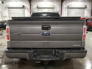 2013 Ford F-150 XL with VIN 1FTEX1EM6DFD11213, listed as a Copart auction lot 61350245 with 197,696 mi miles and Salvage title. Bid and sale history available at DreamBid. Image 6.
