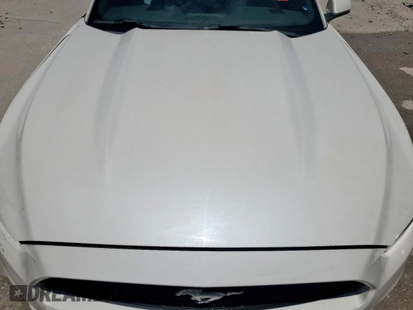 2017 Ford Mustang V6 с VIN 1FATP8EM4H5306335, выставлен на аукционе Copart как лот 57455825 с пробегом 123 251 миль миль и Списание • Salvage title. История ставок и продаж доступна на DreamBid. Изображение 11.