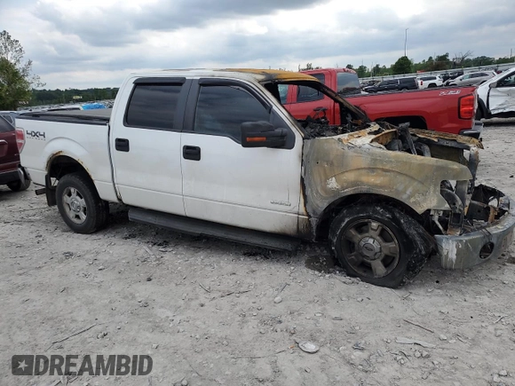 2013 Ford F-150 XL with VIN 1FTFW1ET9DKD49587, listed as a Copart auction lot 56917335 with Not provided miles and Salvage title. Bid and sale history available at DreamBid. Image 4.