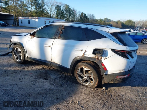 2023 Hyundai Tucson SEL with VIN 5NMJF3AE1PH268144, listed as a IAAI auction lot 41760960 with 58,613 mi miles and . Bid and sale history available at carsss.com. Image 3.
