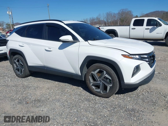 2023 Hyundai Tucson SEL with VIN 5NMJFCAE3PH261633, listed as a IAAI auction lot 41795265 with 39,374 mi miles and . Bid and sale history available at DreamBid. Image 1.