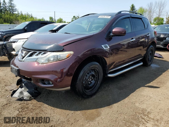 2013 Nissan Murano S with VIN JN8AZ1MW6DW306318, listed as a Copart auction lot 58636755 with 173,497 mi miles and Salvage title. Bid and sale history available at DreamBid. Image 1.