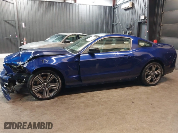 2014 Ford Mustang V6 with VIN 1ZVBP8AM4E5272840, listed as a IAAI auction lot 42162282 with 99,221 mi miles and . Bid and sale history available at DreamBid. Image 15.