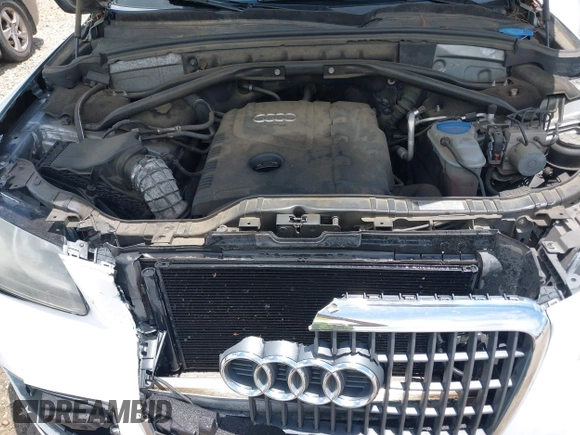 2011 Audi Q5 with VIN WA1CFBFP1BA005856, listed as a IAAI auction lot 42530858 with 162,384 mi miles and . Bid and sale history available at DreamBid. Image 10.
