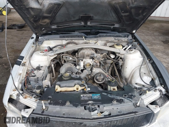 2005 Ford Mustang Deluxe with VIN 1ZVFT80N955114839, listed as a IAAI auction lot 42689801 with 149,556 mi miles and . Bid and sale history available at DreamBid. Image 10.