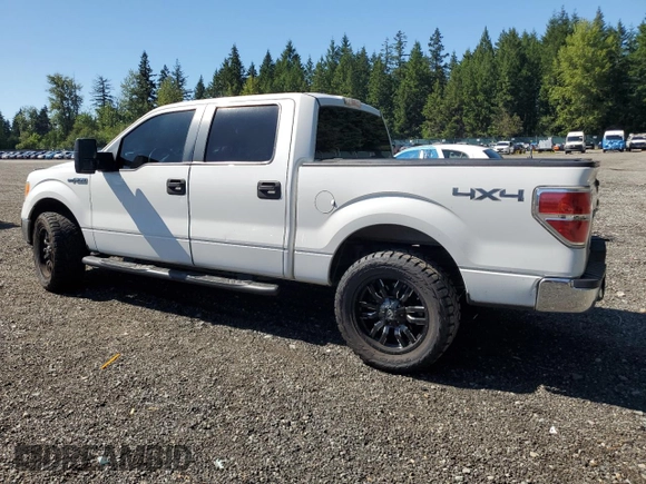 2010 Ford F-150 XL with VIN 1FTEW1E8XAFB89795, listed as a Copart auction lot 62423115 with 402,162 mi miles and Salvage title. Bid and sale history available at DreamBid. Image 2.