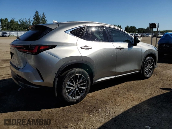 2024 Lexus NX with VIN 2T2ADCEZ4RC004990, listed as a Copart auction lot 65790834 with 7,141 mi miles and Non Repairable. Bid and sale history available at carsss.com. Image 3.
