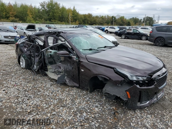 2021 Cadillac CT5 Luxury with VIN 1G6DW5RK0M0118012, listed as a Copart auction lot 78500434 with Not Provided miles and Salvage Title. Bid and sale history available at DreamBid. Image 4.