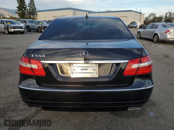2010 Mercedes-Benz E 550 Luxury with VIN WDDHF7CB7AA162572, listed as a Copart auction lot 43745305 with 146,672 mi miles and Salvage Title. Bid and sale history available at DreamBid. Image 6.