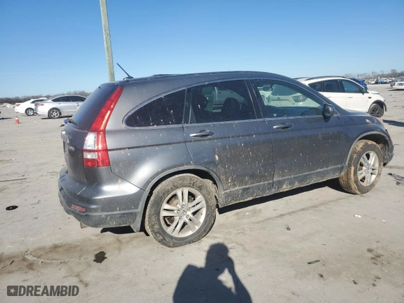 2010 Honda CR-V EX-L with VIN JHLRE4H71AC011688, listed as a Copart auction lot 47208055 with 0 mi miles and Salvage Title. Bid and sale history available at carsss.com. Image 3.