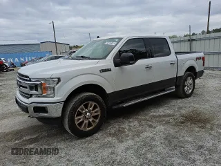 2019 Ford F-150 XL with VIN 1FTEW1E57KFB00501, listed as a Copart auction lot 49469185 with 251,210 mi miles and Clean Title. Bid and sale history available at carsss.com. Image 1.