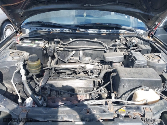 1998 Toyota RAV4 with VIN JT3GP10V7W7037711, listed as a IAAI auction lot 42081313 with 233,554 mi miles. Bid and sale history available at carsss.com. Image 10.