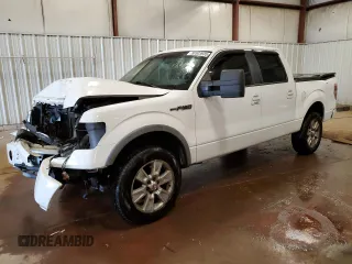 2009 Ford F-150 XL with VIN 1FTPW14VX9FB49308, listed as a Copart auction lot 58503935 with 463,505 mi miles and Clean title. Bid and sale history available at DreamBid. Image 1.